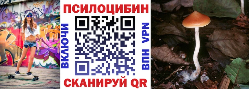 Галлюциногенные грибы Psilocybine cubensis  как найти   Карабаш 